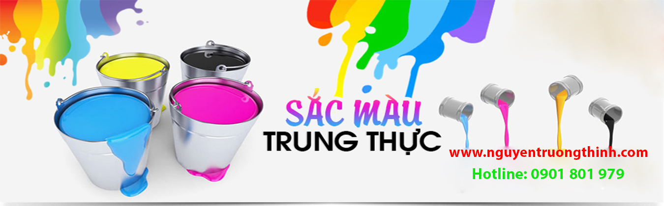NGUYỄN  TRƯỜNG THỊNH
